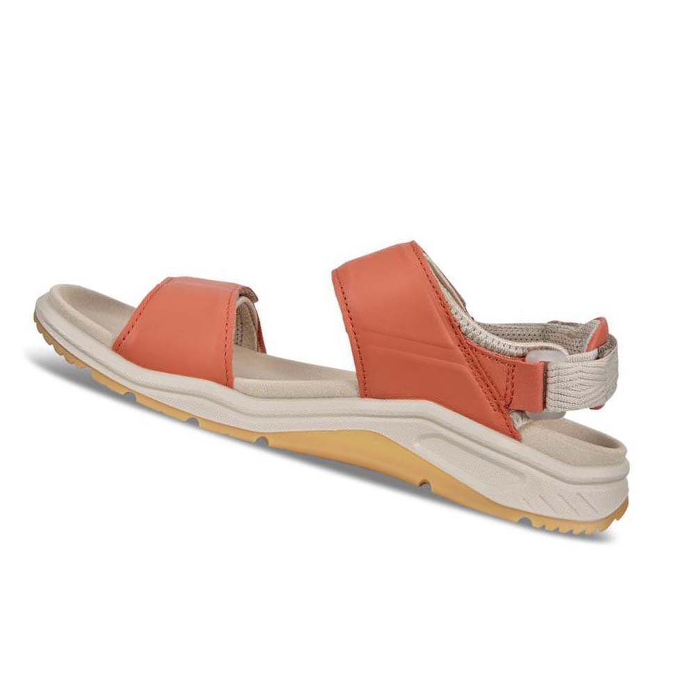 Women's Ecco X-trinsic Flat Sandals Oub11v7w2n | USA 196NWY